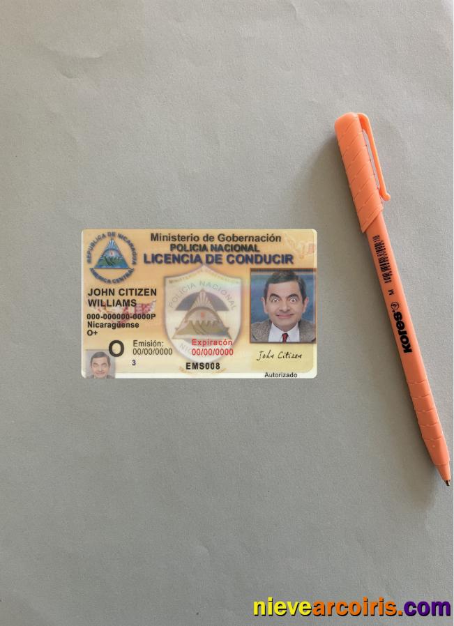 Nicaragua driving license photolook